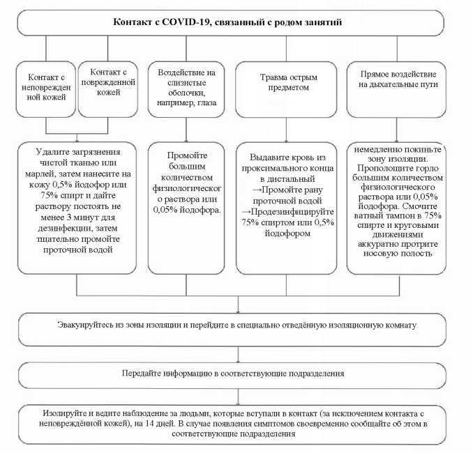 Справочник по профилактике и лечению COVID-19 - i_009.jpg