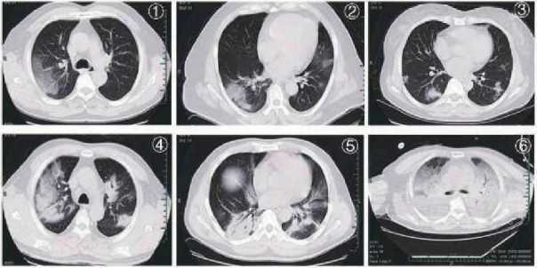 Справочник по профилактике и лечению COVID-19 - i_011.jpg