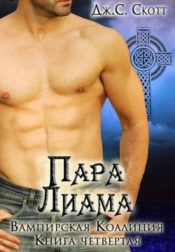 Читать онлайн книгу Пара Лиама (ЛП) автор Скотт Дж. С. Книга Пара Лиама (ЛП)