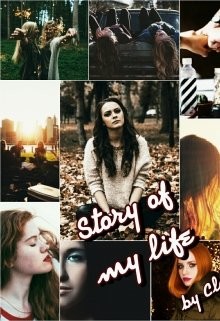 Книга Story of my life: High school (СИ)