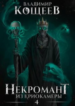 Книга Н из К 4 (СИ)