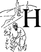 Невидимые друзья и враги - i_024.png