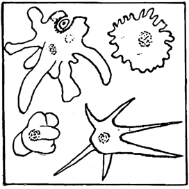 Невидимые друзья и враги - i_037.png