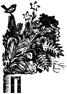 Весенние зори<br />(Охотничьи рассказы) - i_002.png