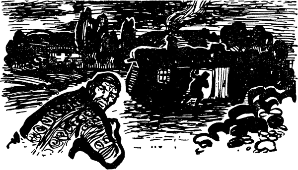 Опасное задание. Конец атамана<br />(Повести) - i_002.png