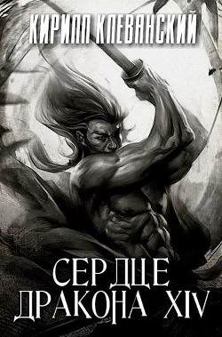 Книга СД. Том 14 (СИ)