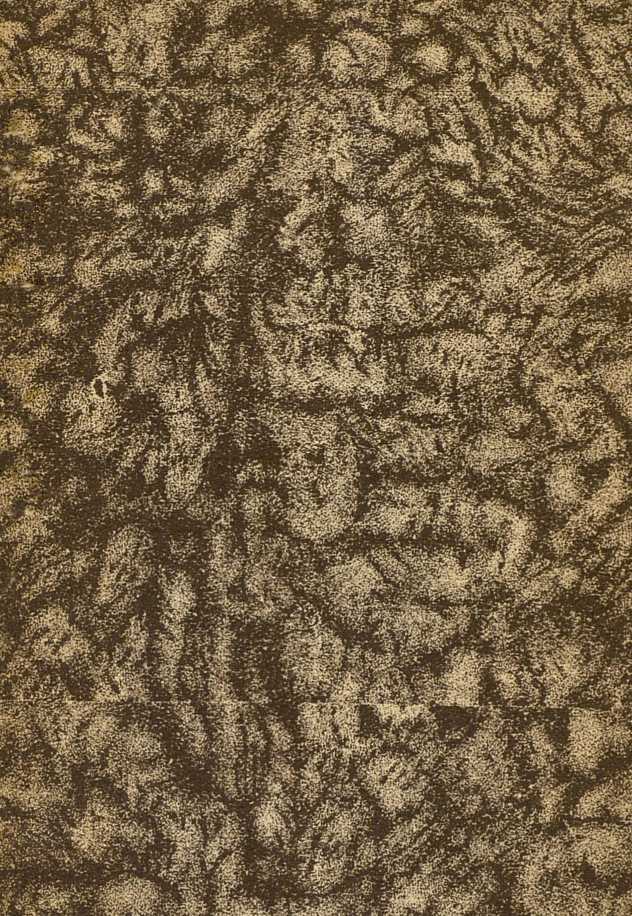 Нос<br />(1886. Совр. орф.) - i_001.jpg