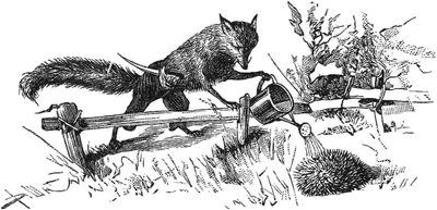 Ёжики<br />(1905 г. Совр. орф.) - i_008.png