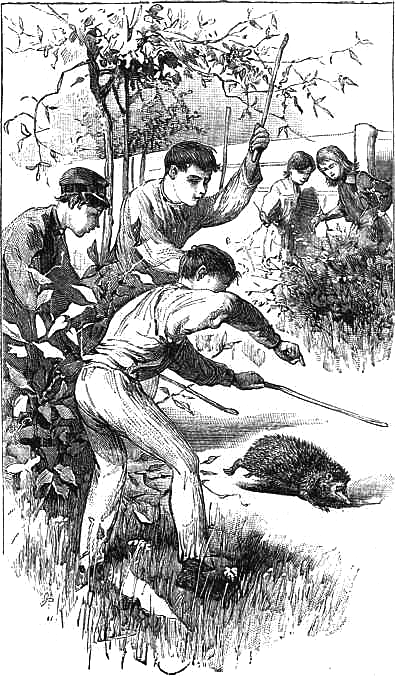 Ёжики<br />(1905 г. Совр. орф.) - i_015.png