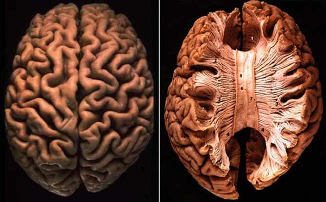 Эльфийский бог (СИ) - img7.jpg