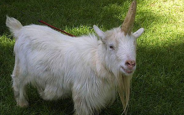 Эльфийский бог (СИ) - img10.jpg