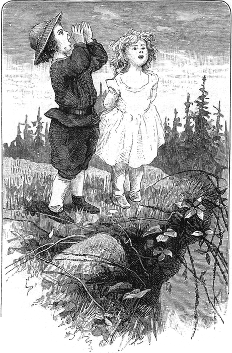 Приключения Вани и Маши<br />(Современная орфография) - i_011.png