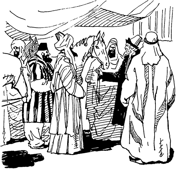 Повесть об Афанасии Никитине - i_004.png