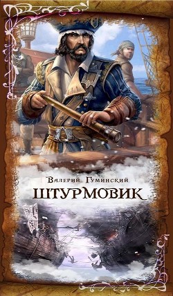 Книга Штурмовик (СИ)