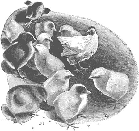 Чудесный генератор<br />(Научно-фантастическая повесть) - i_017.png