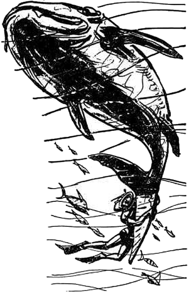 Голубая планета<br />(Сборник) - i_030.png