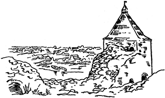 Путём Александра Невского<br />(Повесть) - i_041.png