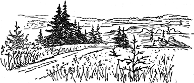 Путём Александра Невского<br />(Повесть) - i_073.png