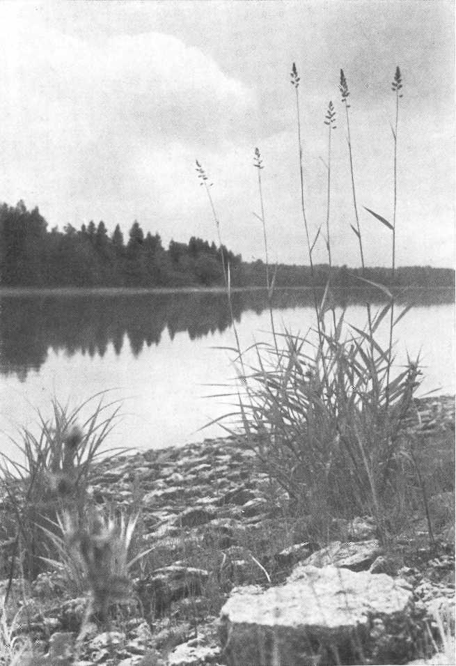 Путём Александра Невского<br />(Повесть) - i_081.jpg