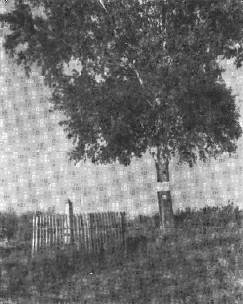 Путём Александра Невского<br />(Повесть) - i_090.jpg