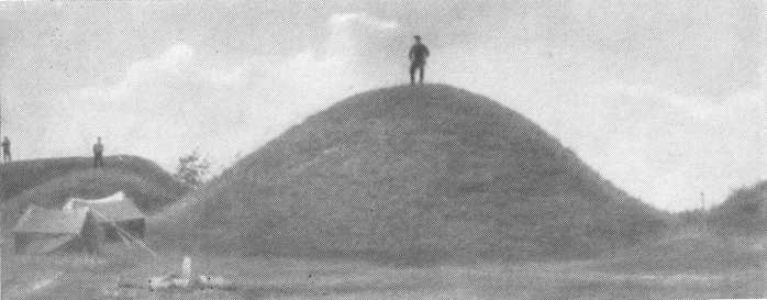 Путём Александра Невского<br />(Повесть) - i_100.jpg