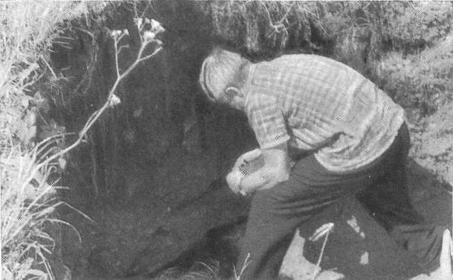 Путём Александра Невского<br />(Повесть) - i_103.jpg