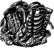 В Древнем Киеве - i_037.png