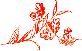 В Стране Светлого дня<br />(Чувашские народные сказки) - i_013.png