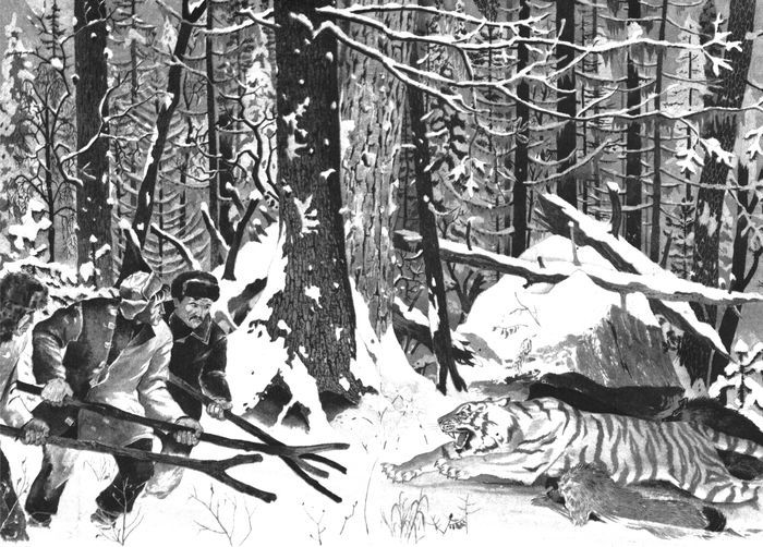 Удивительные звери<br />(Повесть, рассказы, очерки) - i_007.jpg