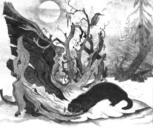 Удивительные звери<br />(Повесть, рассказы, очерки) - i_019.jpg