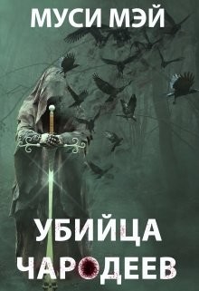 Книга Убийца чародеев (СИ)