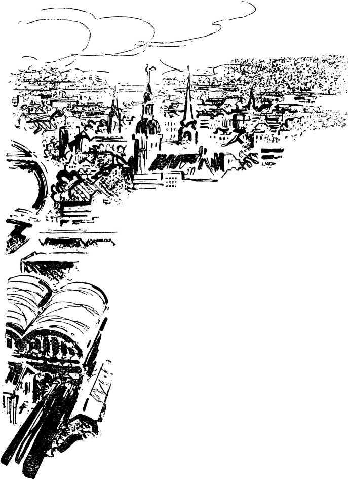 Черные и белые<br />(Повесть) - i_003.jpg