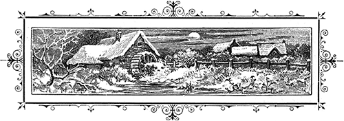 В дебрях Севера<br />(Приключения волка, медведя и лисицы) - i_006.png