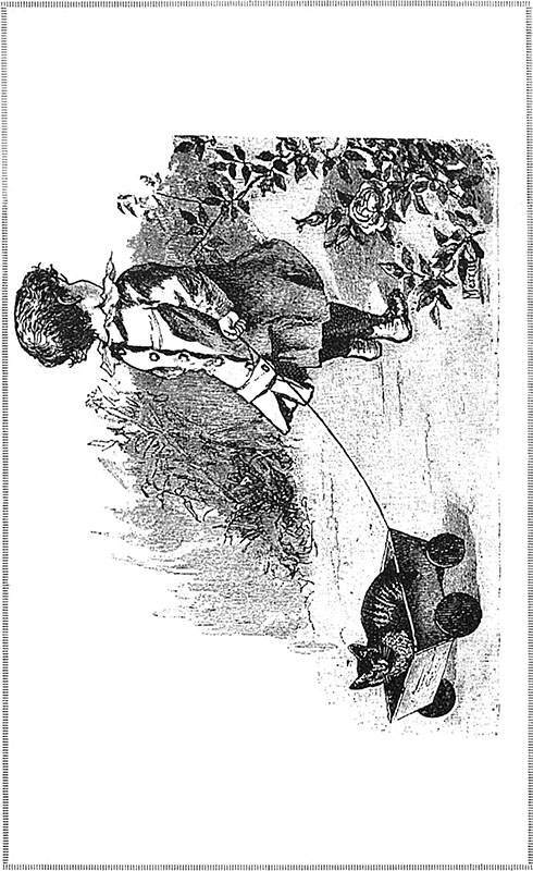 Шалунья. Ночное похождение<br />(Два рассказа) - i_003.jpg