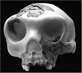 Неандертальцы. Иное человечество - i_007.jpg