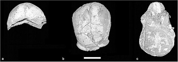Неандертальцы. Иное человечество - i_009.jpg