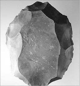 Неандертальцы. Иное человечество - i_013.jpg