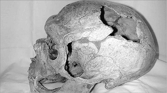 Неандертальцы. Иное человечество - i_014.jpg