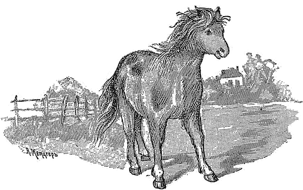 Храбрый лев<br />(Сказка) - i_005.png