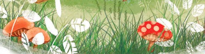 Приключения Лохматульки - i_003.jpg