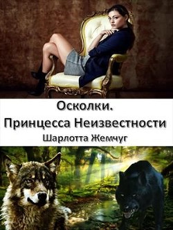 Книга Осколки. Принцесса Неизвестности (СИ)