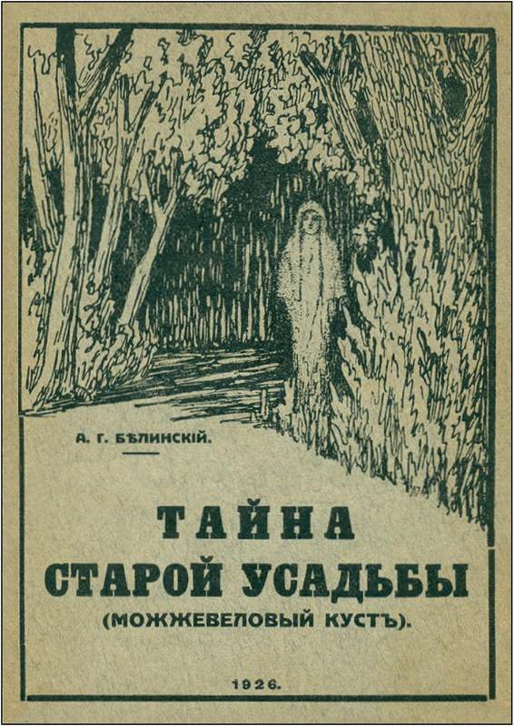 Тайна старой усадьбы<br />(Русский оккультный роман, т. XII) - i_003.jpg