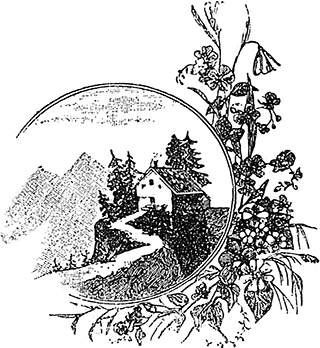 В стране контрастов - i_006.png