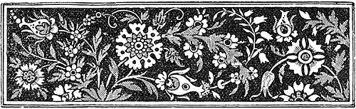 В стране контрастов - i_007.png