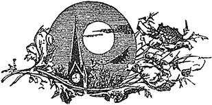 В стране контрастов - i_010.png