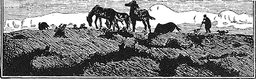 В стране контрастов - i_039.png