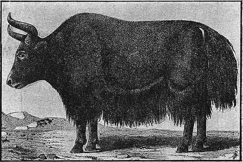 В стране контрастов - i_043.jpg