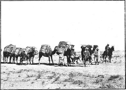 В стране контрастов - i_058.jpg