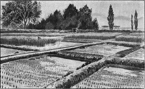 В стране контрастов - i_070.jpg