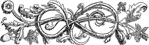 В стране контрастов - i_078.png